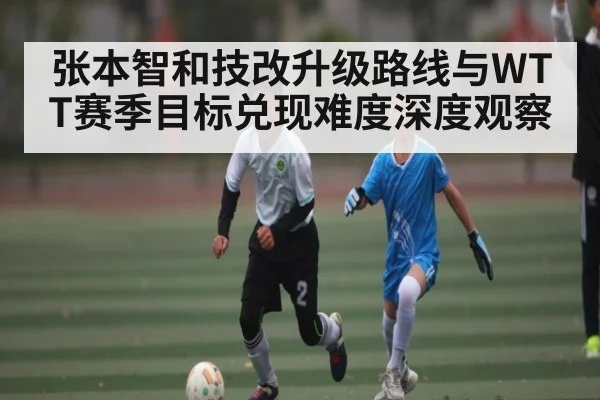 张本智和技改升级路线与WTT赛季目标兑现难度深度观察